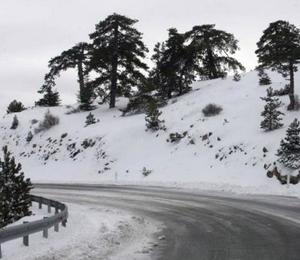 На Кипре выпал снег и дороги в горы перекрыли